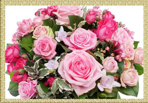 цветы шикарные