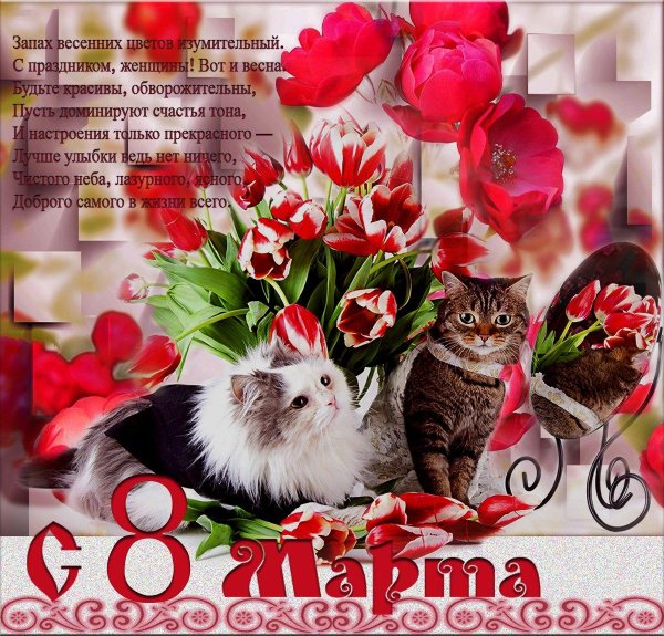 поздравить с праздником 8 марта