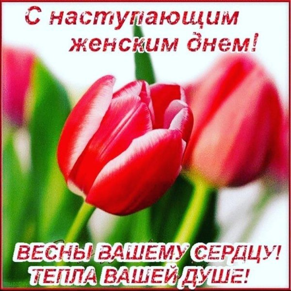 с наступающим женским днем