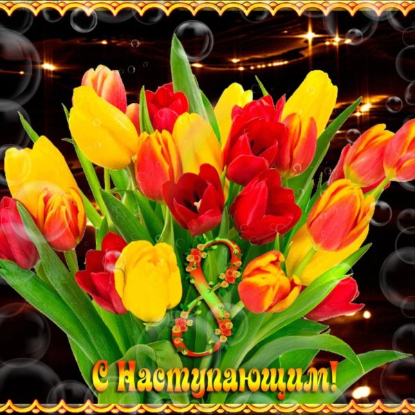 анимационные тюльпаны