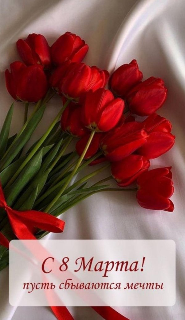 тюльпан красный