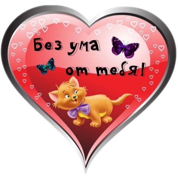 без ума от тебя