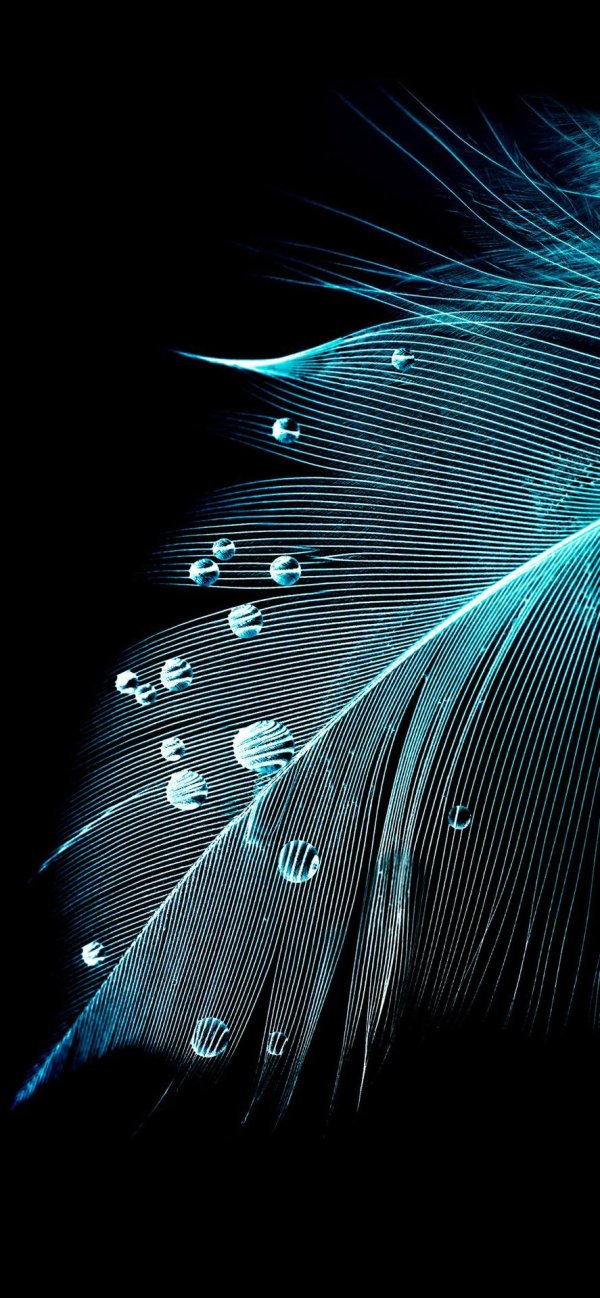 голубые перья