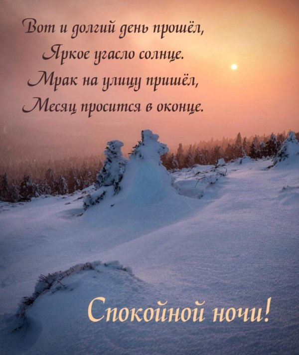спокойной зимней ночи