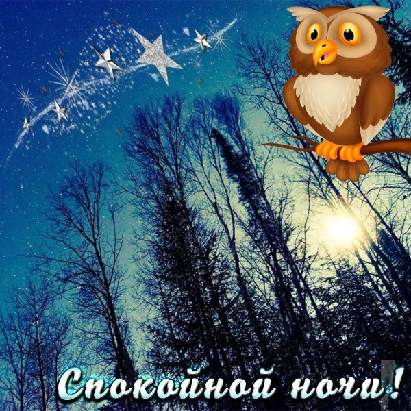 спокойная ночи