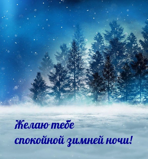 спокойной зимней ночи