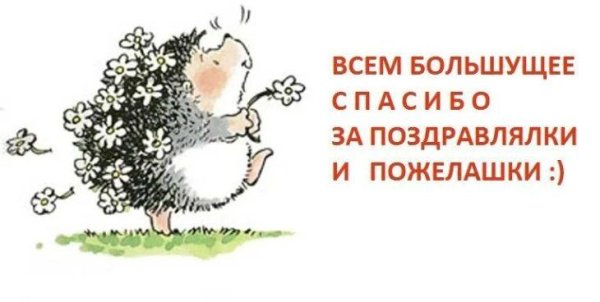 ежик иллюстрация