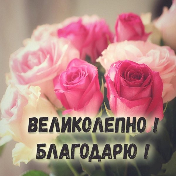 благодарим открытка