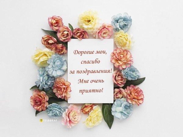 рамка цветами