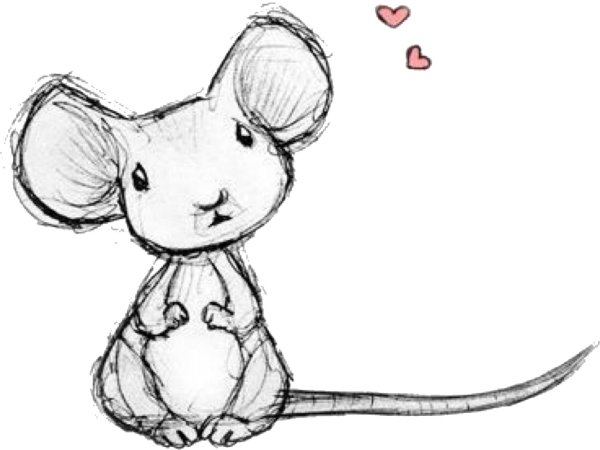 мышь рисунок карандашом для срисовки