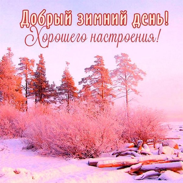 зимние пейзаж