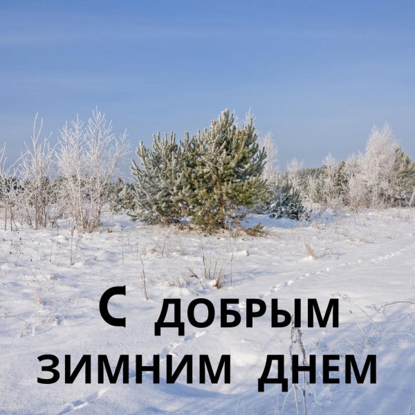 Последний день зимы