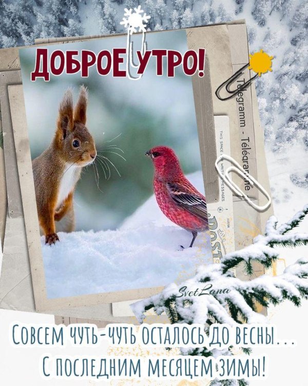 доброго утра февраль