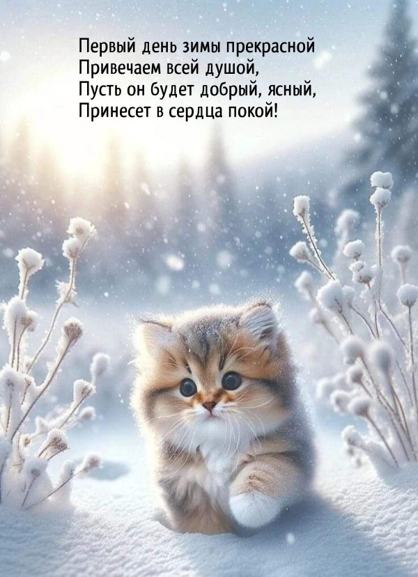 доброго утра зимнего