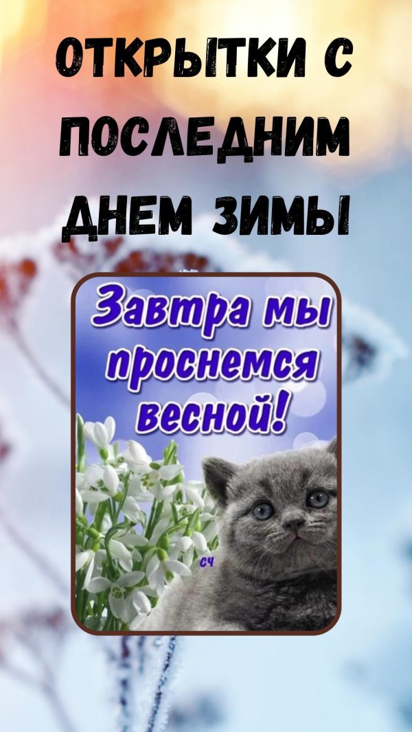 завтра мы проснемся весной