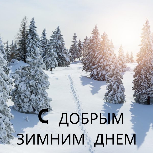 зима открытка