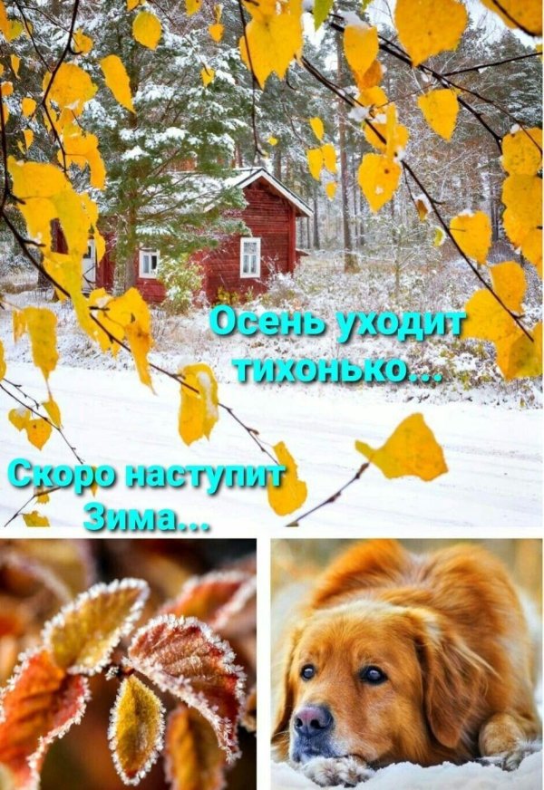 уходит осень