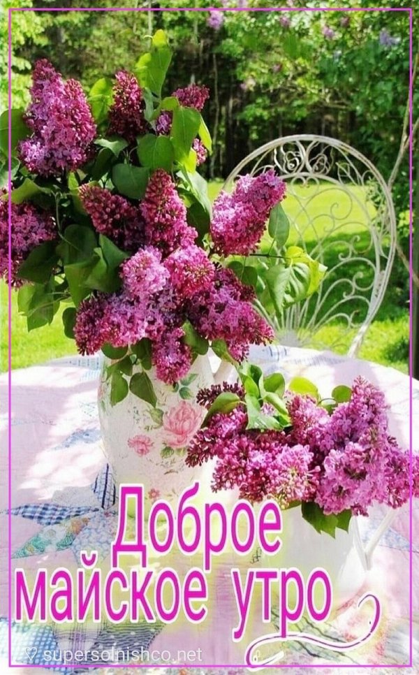 майское утро