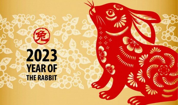 year of the rabbit
