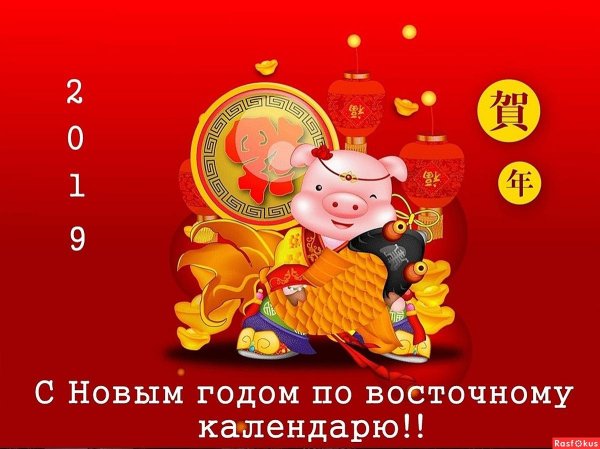 год свиньи 2019