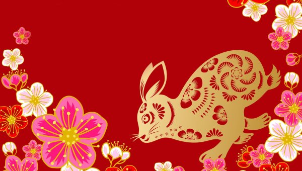 новый год по китайскому календарю в 2025