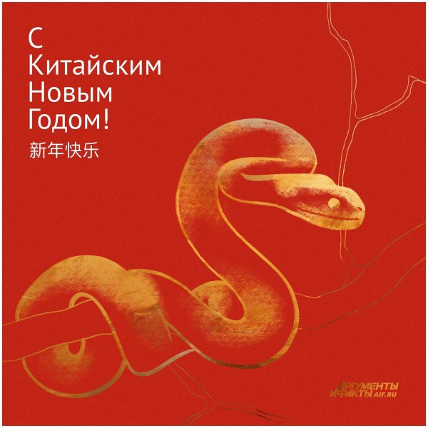 поздравление с китайским новым годом змеи