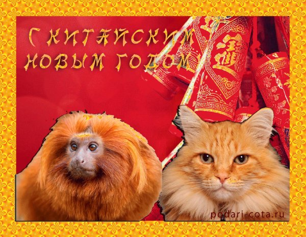 С китайским новым годом