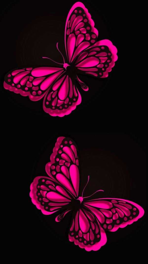 розовая бабочка