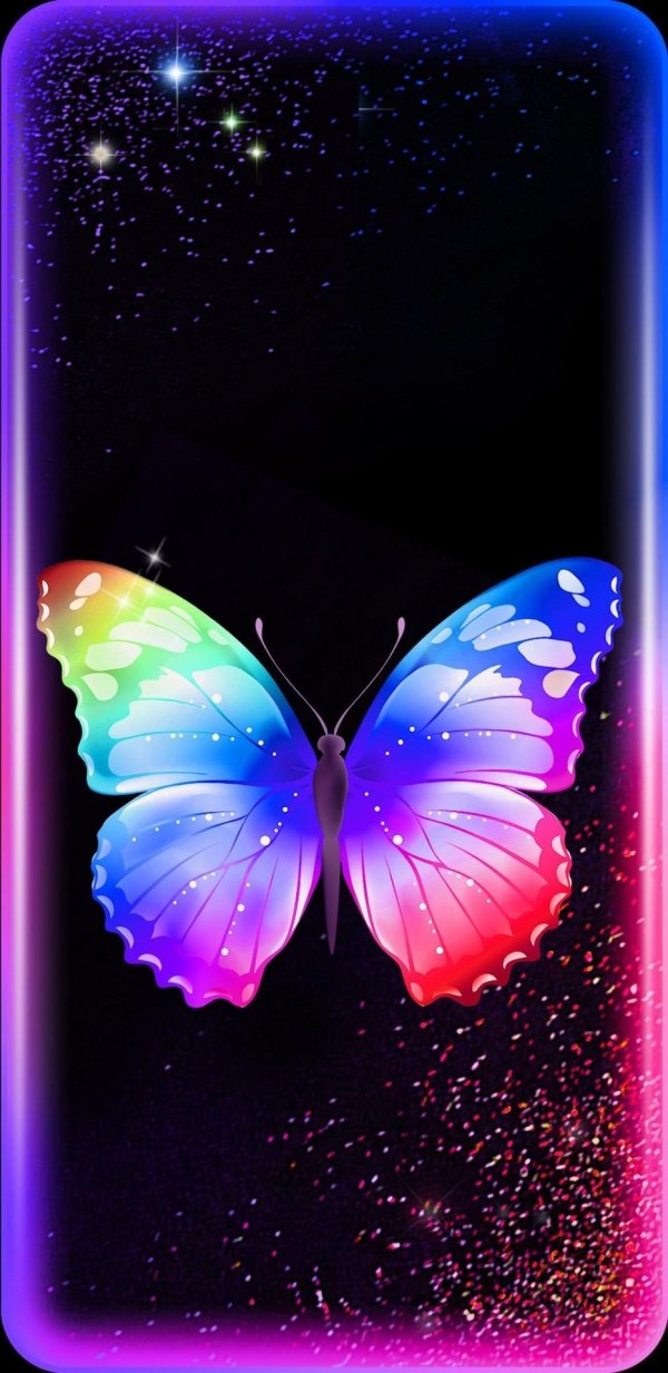 радужные бабочки