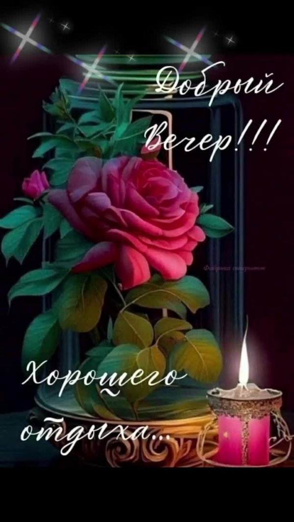 прекрасно вечера