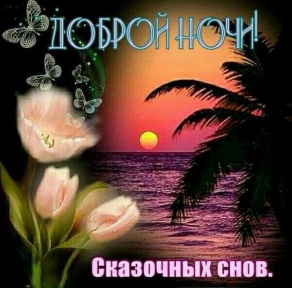 добрая ночь