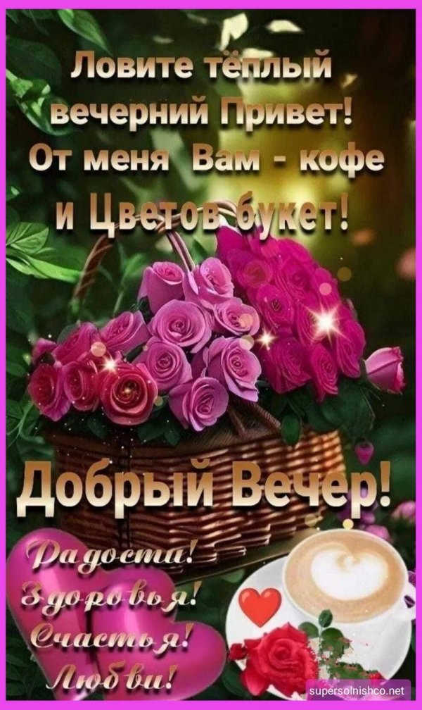 вечерний привет