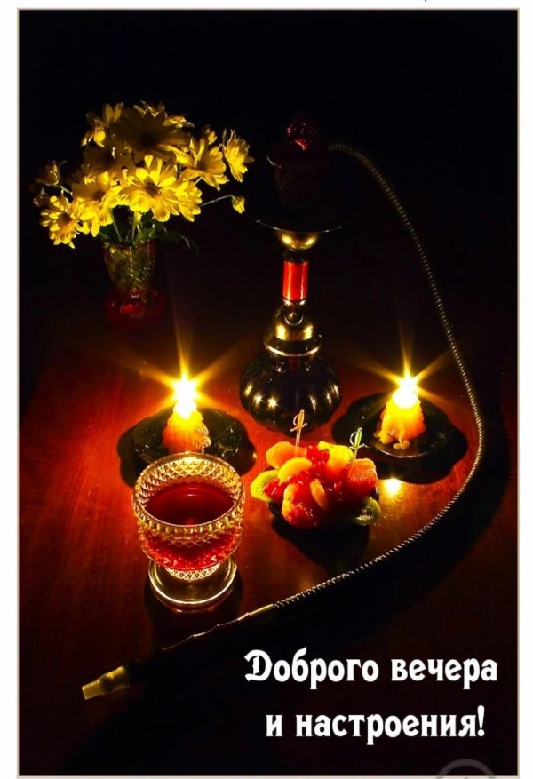 добр вечер