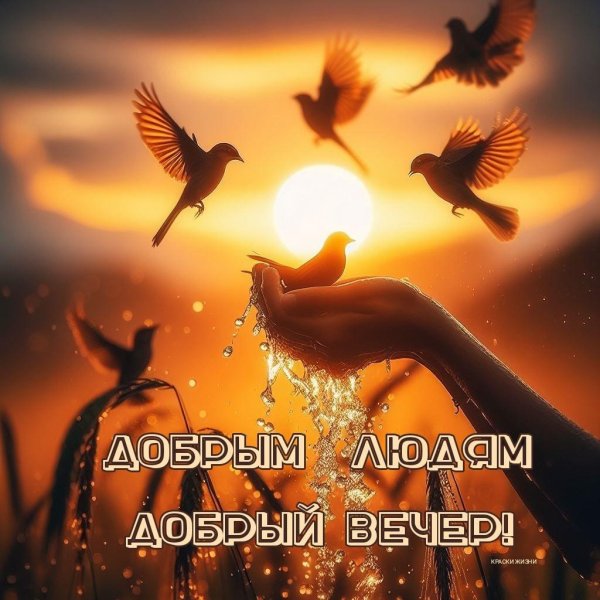 добр вечер