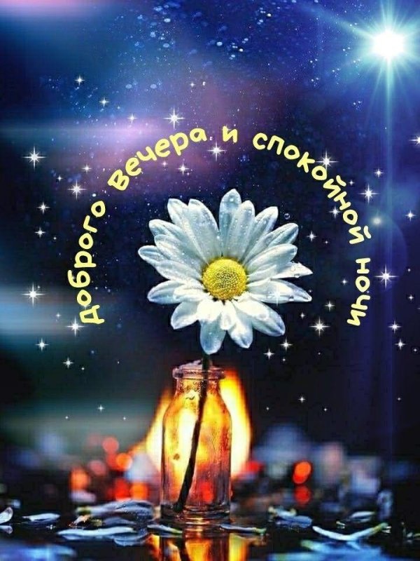 доброгого вечера и спокойной носи