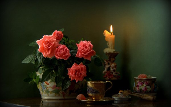 красивое поздравление с добрым вечером