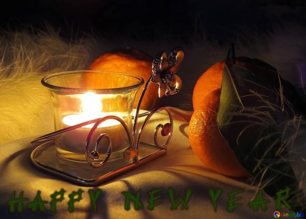 новогодние натюрморты