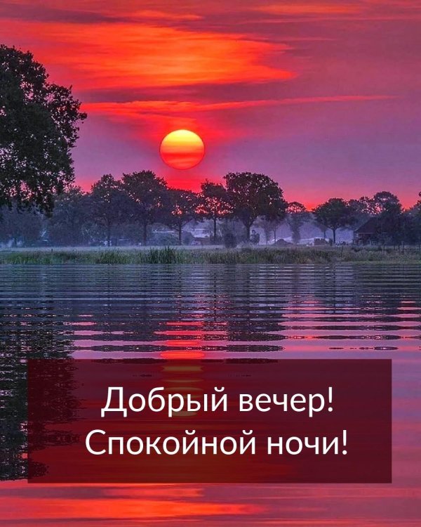 спокойная ночи