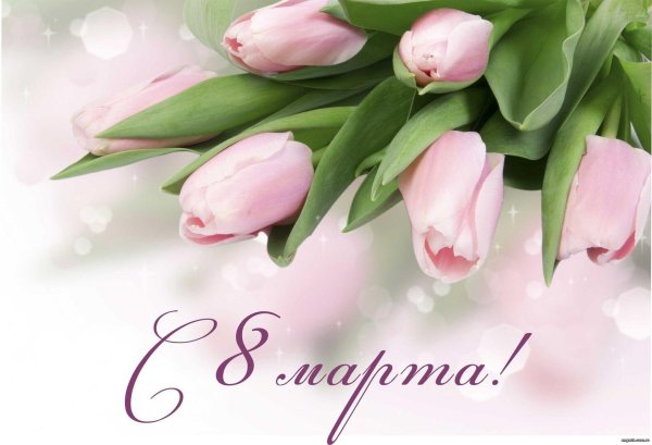 открытка с тюльпанами