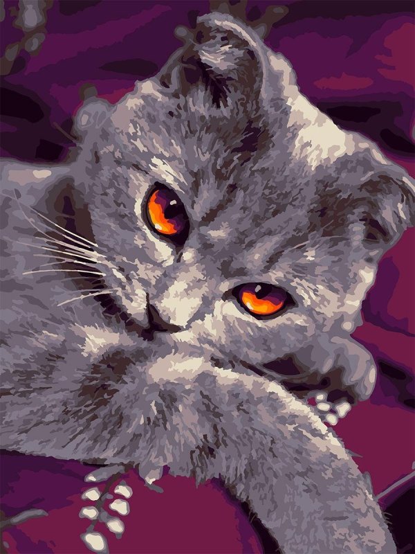 серый кот картина