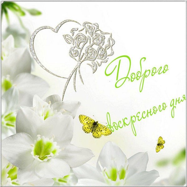 доброго воскресного дня