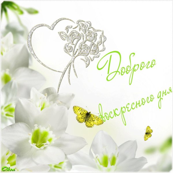 доброго воскресного дня