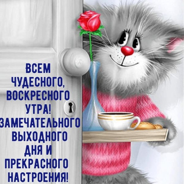 доброго воскресного утра прикольные