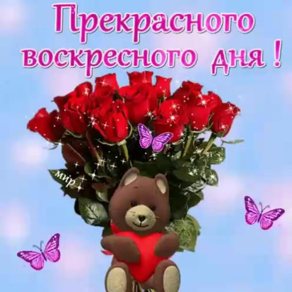 прекрасного воскресного дня