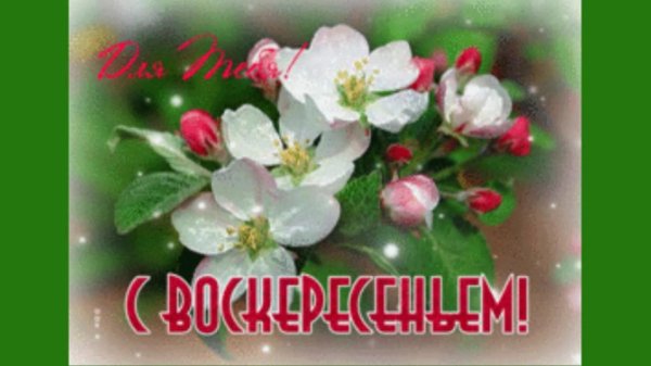 прекрасного воскресного дня