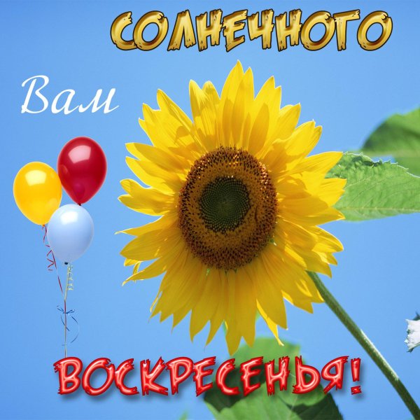 воскресенье открытка