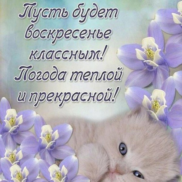 классного воскресенья