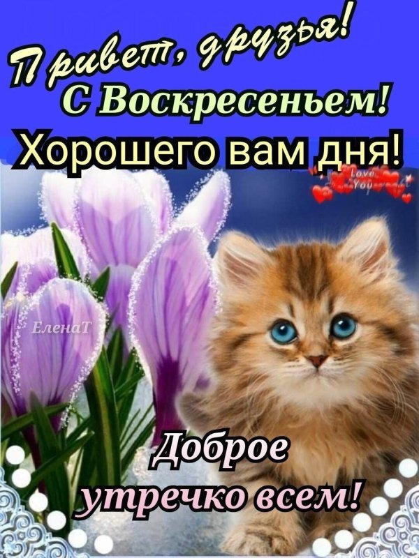 привет воскресенье