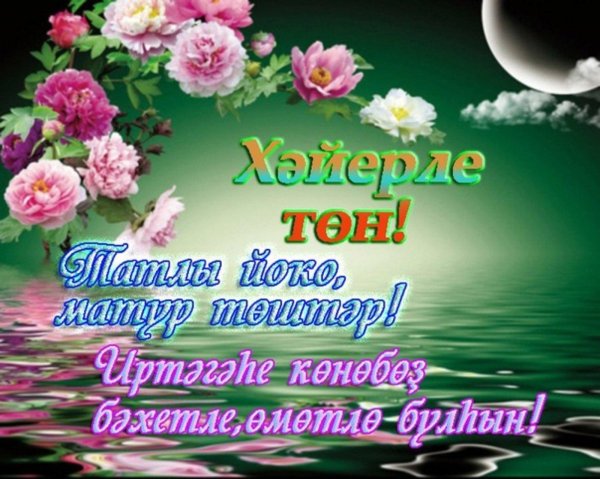 добрый вечер на татарском языке