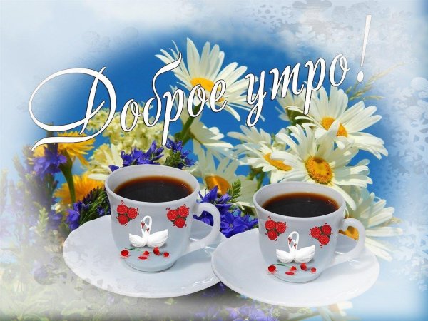 красивая открытка с добрым утром
